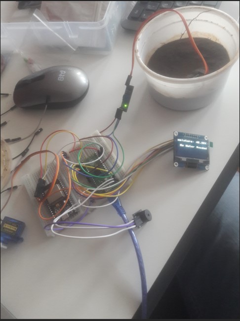irrigation system